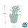 Bodendecker - Cambridge Storchschnabel - Geranium cantabrigiense Biokovo - 9cm Topf - Set mit 12 Pflanzen