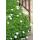 Bodendecker - Schnee-Storchschnabel - Geranium sanguineum Album - 9cm Topf - Set mit 40 Pflanzen
