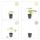 Bodendecker - Blut-Storchschnabel - Geranium sanguineum Tiny Monster - 9cm Topf - Set mit 48 Pflanzen