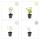 Bodendecker - Johanniskraut - Hypericum inodorum Beauty - 9cm Topf - Set mit 12 Pflanzen