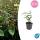 Bodendecker - Johanniskraut - Hypericum inodorum Rheingold - 9cm Topf - Set mit 20 Pflanzen