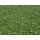 Ground cover - White lobelia - Isotoma fluviatilis Alba - 9cm pot - Set of 48 plants