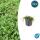Bodendecker - Moos - Braunes Fiederpolster - Leptinella squalida - Cotula - 9cm Topf - Set mit 12 Pflanzen