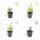 Herbe à chat - Nepeta faassenii Six Hills Giant - Plante vivace facile dentretien - pot de 9cm - Set de 60 plantes
