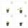 Bodendecker - Russell-Brandkraut - Phlomis russeliana - 9cm Topf - Set mit 60 Pflanzen