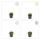 Bodendecker - Steingarten - Sternmoos - Sagina subulata - 9cm Topf - Set mit 6 Pflanzen