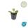 Ziersalbei - Steppensalbei - Salvia nemorosa Mainacht - 9cm Topf - Set mit 60 Pflanzen