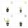 Zierstaude - Eisenkraut - Verbena bonariensis Lollipop - 9cm Topf - Set mit 60 Pflanzen