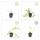 Couvre-sol - Pervenche à grandes feuilles - Vinca major Alba - Pot de 9cm - Set de 40 plantes