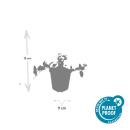 Bodendecker - Kleinblättriges Immergrün - Vinca minor Ralph Shugert - 9cm Topf - Set mit 40 Pflanzen