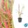 Herbe ornementale - Herbe du sang japonaise - Imperata cylindrica Red Baron - Pot 9cm