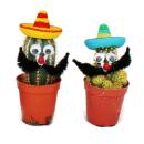 Funny Cactus with Eyes, Moustache and Sombrero