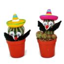 Funny Cactus with Eyes, Moustache and Sombrero 