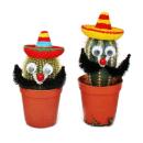 Funny Cactus with Eyes, Moustache and Sombrero 