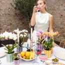 Kolibri Greens Schattenpflanze Mini - Calathea Makoyana  - Ø6cm