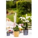 Kolibri Greens | Mini-Pflanzen Set im schönen Übertopf Ø9cm & Ø6cm