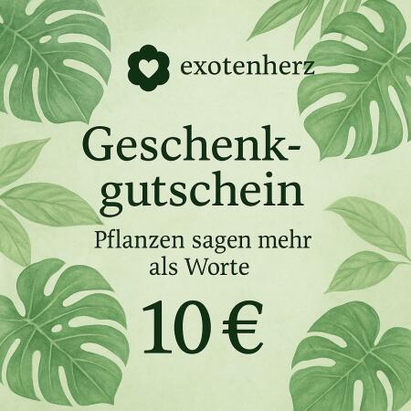 10 € Wertgutschein