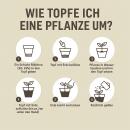 Kakteen- und Sukkulenten-Spezial Erde – 5 l