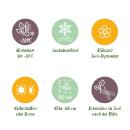 Exotenherz Kletterpflanzen - Clematis Nelly Moser - 2er Set - 11cm Topf