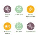 Exotenherz Kletterpflanzen - Passionsblume Passiflora Tricolor - 3er Set - 11cm Topf