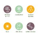 Vitis vinifera "Vroege van der Laan" - Weisse Weintraube - 15cm Topf - ca. 50cm hoch - 2er Set