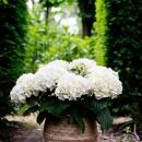 Exotenherz - Hortensia - Hydrangea Forever & Ever -...