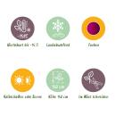 Acer palmatum "Skeeters Broom" - japanischer Fächerahorn - laubabwerfend - 19cm Topf - 70cm - 2er Set - rot-violett