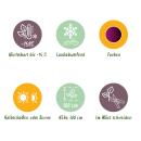 Acer palmatum "Trompenburg" - japanischer Fächerahorn - laubabwerfend - 19cm Topf - 70cm - 2er Set  - purpur