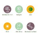 Musa basjoo - hardy banana - 17cm pot - approx. 40cm - set of 2