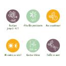 Exotenherz Bambus - Fargesia Dragon Tricolour 3er Set - Schwarz, Rot, Blau 14cm Topf