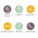 Exotenherz Bambus - Fargesia Mix Rainbow  4er Set - Pot 14cm Höhe 35cm