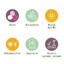 Exotic Heart Flower Bulb - Hyacinth Hyacinth Pastel Mix (10 pieces) Diameter 14-15cm