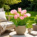 Exotenherz Blumenzwiebeln - Tulpen Tulipa Double Pink (12...