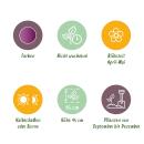 Exotenherz Blumenzwiebeln - Tulpen Tulipa Double Lilac (50 Stück) Durchmesser 11-12cm