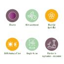 Exotenherz Blumenzwiebeln - Tulpen Tulipa Double Lilac (50 Stück) Durchmesser 11-12cm