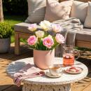 Exotenherz Blumenzwiebeln - Tulpen Tulipa  Double...