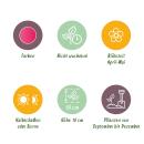 Exotenherz Blumenzwiebeln - Tulpen Tulipa Little Beauty (25 Stück) Durchmesse 6-7cm