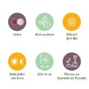 Exotenherz Blumenzwiebeln - Tulpen Tulipa Macron Mix (12 Stück) Durchmesser 11-12cm