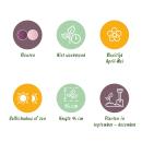 Exotenherz Blumenzwiebeln - Tulpen Tulipa Macron Mix (12 Stück) Durchmesser 11-12cm