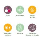 Exotenherz Blumenzwiebeln - Tulpen Tulipa Pastel Mix (12 Stück) Durchmesser 11-12cm