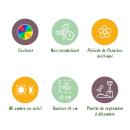 Exotenherz Blumenzwiebeln - Tulpen Tulipa Praestans Mix (25 Stück) Durchmesser 8-9cm