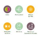 Exotenherz Blumenzwiebeln - Tulpen Tulipa Strawberry Lemonade (12 Stück) Durchmesser 11-12cm