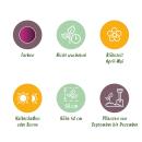 Exotenherz Blumenzwiebeln - Tulpen Tulipa Triumph Purple - lila (15 Stück) Durchmesser 11-12cm