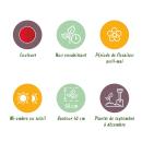 Exotenherz Blumenzwiebeln - Tulpen Tulipa Triumph Red (15 Stück) Durchmesser 11-12cm