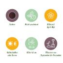 Exotenherz Blumenzwiebeln - Tulpen Tulipa Triumph Black - schwarz (12 Stück) Durchmesser 11-12cm