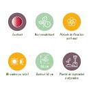 Exotenherz Blumenzwiebeln - Tulpen Tulipa Hemisphere-Mix (12 Stück) Durchmesser 11-12cm