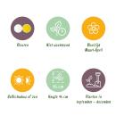 Cœur dexotisme bulbes à fleurs - Narcisse Narcis Botanical Mix (20 pièces) diamètre10-12cm