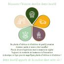 Exotenherz Flower bulbs - Narcissus Narcis Large Cupped Mix in various colors. Colors (15 pieces) Diameter 12-14cm