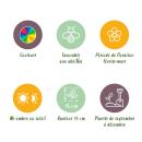 Exotenherz flower bulbs - Crocus Crocus large-flowered mix in various colors colors (30 pieces) diameter 7-8cm