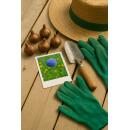 Exotenherz Blumenzwiebeln - Zierlauch Allium Caeruleum Blau (40 Stück) - Durchmesser 4-5cm